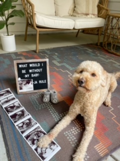 Baby photo